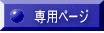 専用ページ